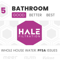 5 BATH: PFSA Issues (Good)